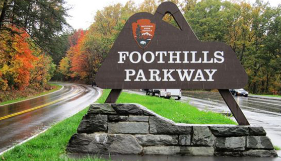 標(biāo)識(shí)系統(tǒng) 標(biāo)識(shí)系統(tǒng)