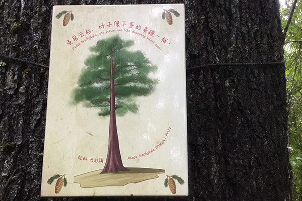 旅游景區標牌 旅游景區標牌