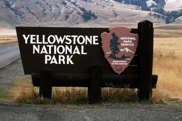 木紋標(biāo)識牌 木紋標(biāo)識牌