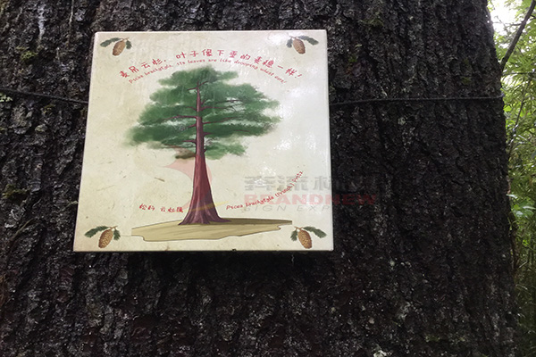 景區標識色彩 景區標識色彩