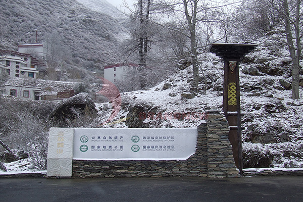 標識導視的辨識 標識導視的辨識