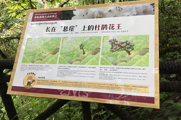 景區標識 景區標識