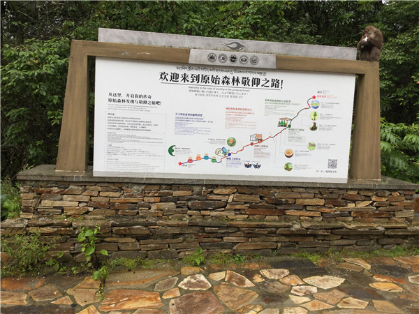 導視系統設計 導視系統設計