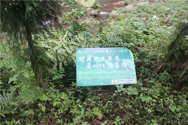 景區(qū)標(biāo)識 景區(qū)標(biāo)識